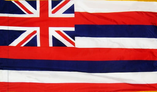 Hawaii - State Flag with Pole Sleeve - For Indoor Use
