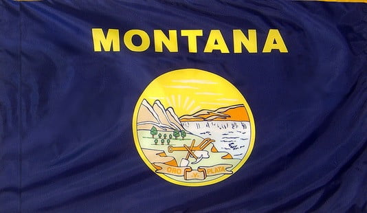 Montana - state flag with pole sleeve - for indoor use