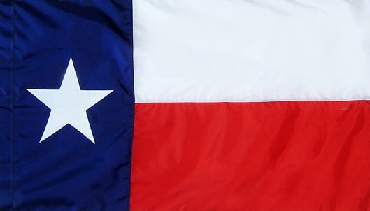 Texas - State Flag with Pole Sleeve - For Indoor Use