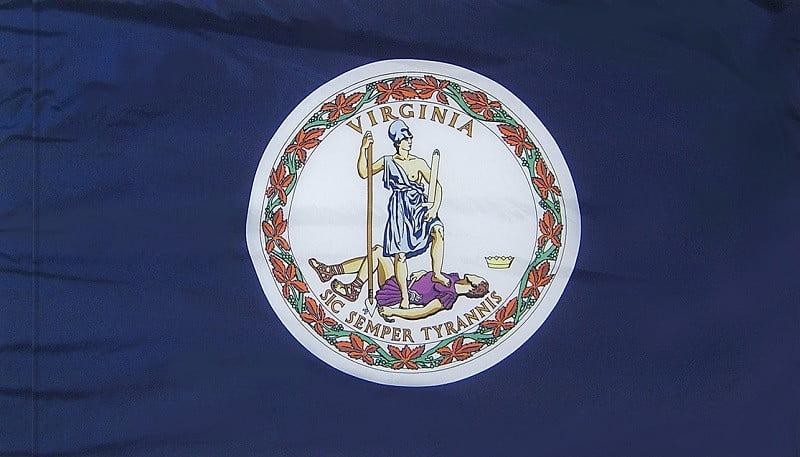 Virginia - State Flag with Pole Sleeve - For Indoor Use