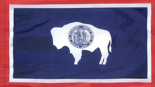 Wyoming - state flag with pole sleeve - for indoor use